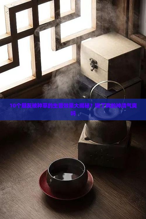 普洱茶生普有什么效果