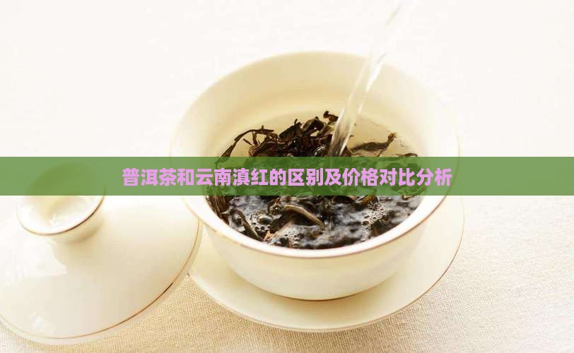 普洱茶和云南滇红的区别