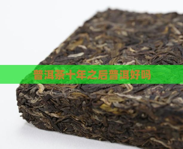 普洱茶十年之后好吗