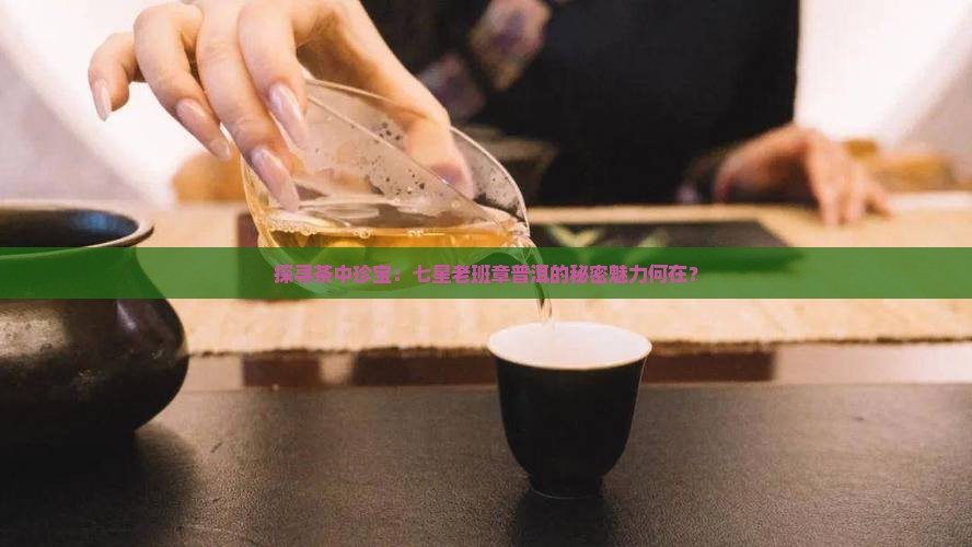 七星老班章普洱茶饼