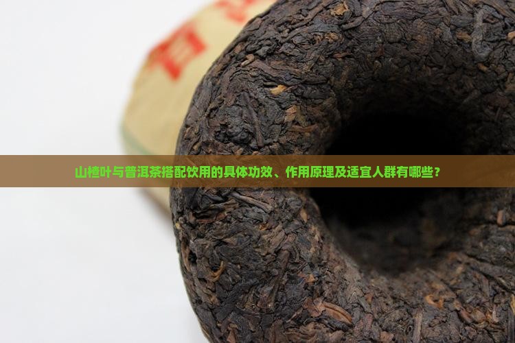 山楂叶加普洱茶的功效