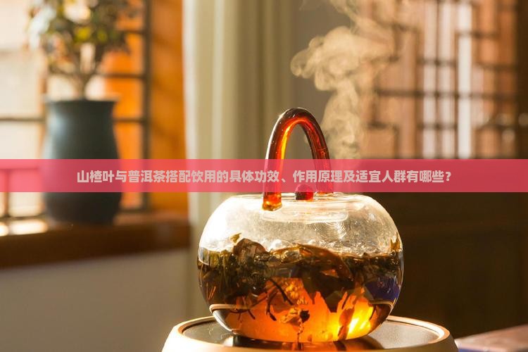 山楂叶加普洱茶的功效
