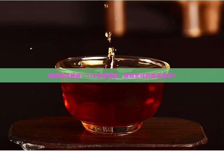 海湾茶业普洱茶375克