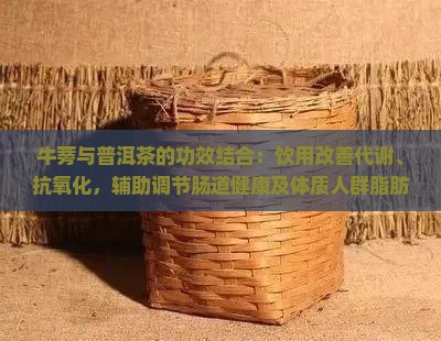 牛蒡茶跟普洱茶治什么的