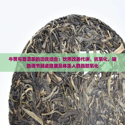 牛蒡茶跟普洱茶治什么的