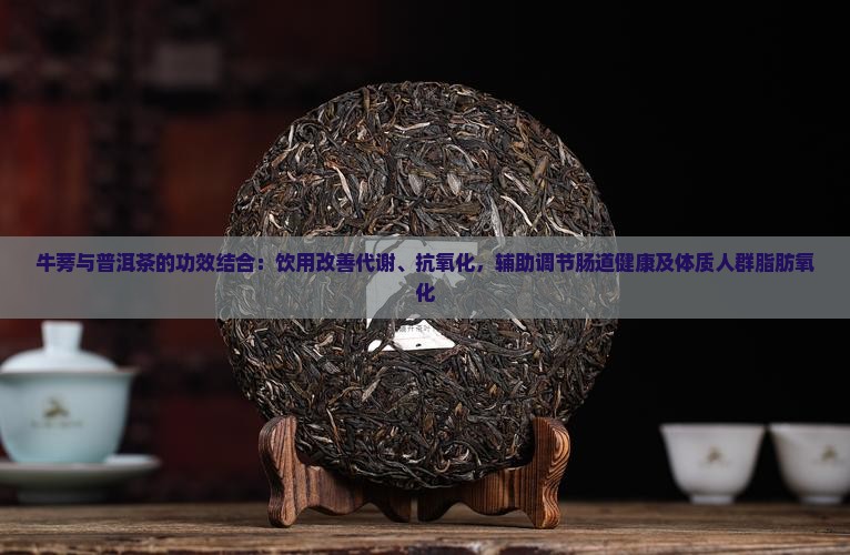 牛蒡茶跟普洱茶治什么的