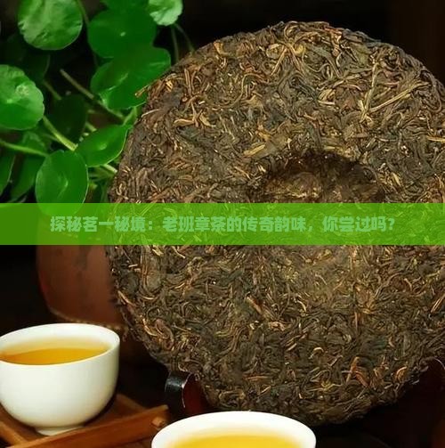 茗一茶业老班章