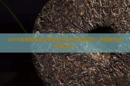 2019老同志深山老树生茶评比 2019老同志深山老树生茶评比