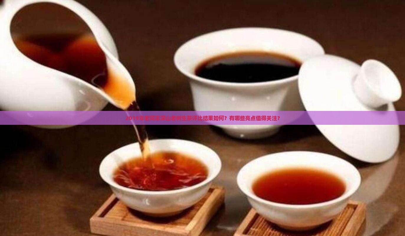 2019老同志深山老树生茶评比 2019老同志深山老树生茶评比