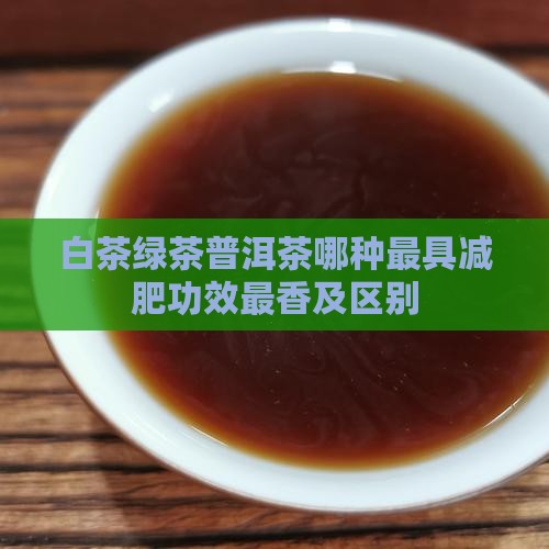 白茶绿茶普洱茶