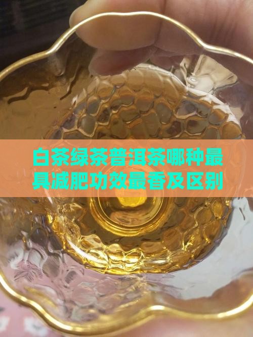 白茶绿茶普洱茶