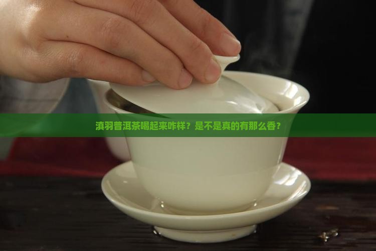 滇羽普洱茶品质怎样