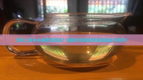 上海中心普洱茶