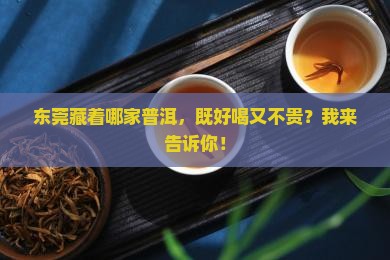 东莞普洱茶哪家好喝点实惠
