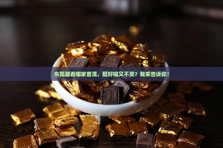 东莞普洱茶哪家好喝点实惠
