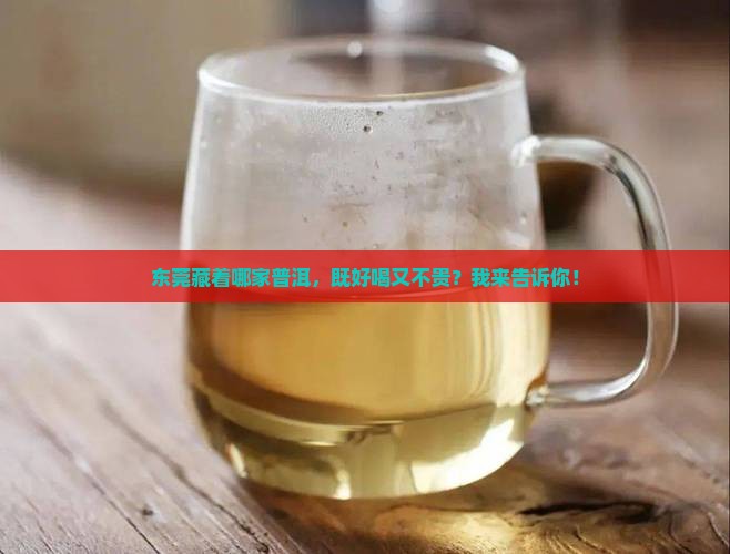 东莞普洱茶哪家好喝点实惠