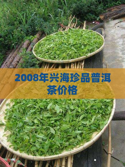 2008年兴海珍品普洱茶