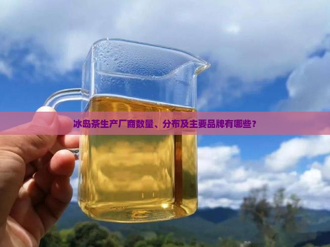 冰岛茶生产厂有几家
