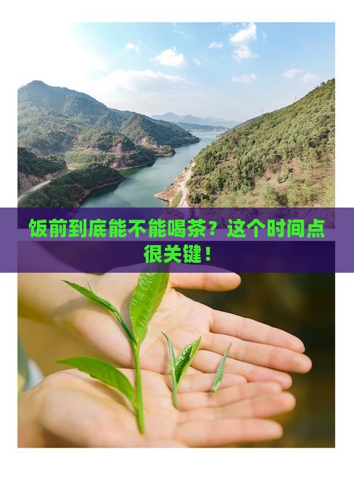 饭前多久不能喝茶