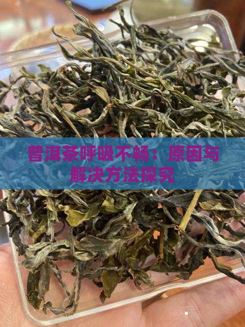 普洱茶呼吸不畅 普洱茶呼吸不畅