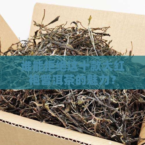 普洱茶大红袍品牌排行前十