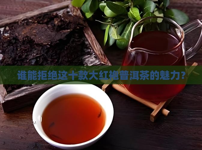 普洱茶大红袍品牌排行前十