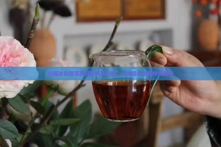 小罐冰岛普洱茶