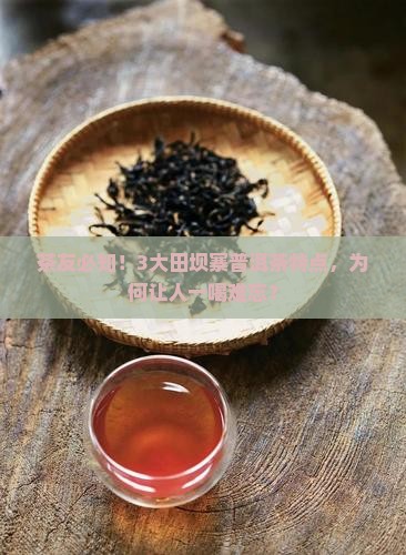 田坝寨普洱茶特点