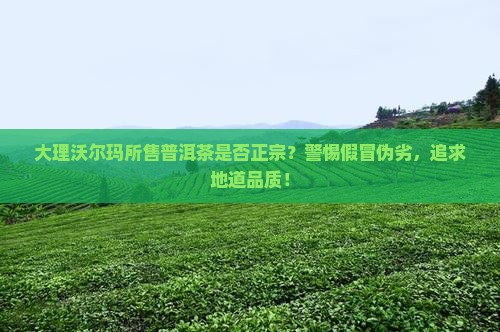 大理沃尔玛的普洱茶是正宗的吗 大理沃尔玛的普洱茶是正宗的吗