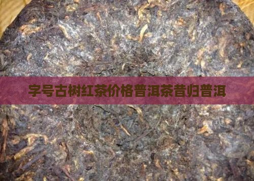 沛字号昔归古树红茶价格