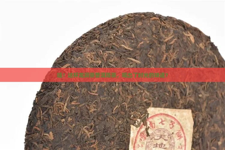 龙润茶普洱茶陈茶