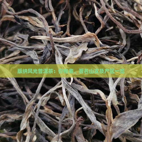 版纳风光普洱茶