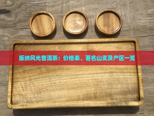 版纳风光普洱茶