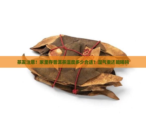 普洱茶的存放与购买藏湿度