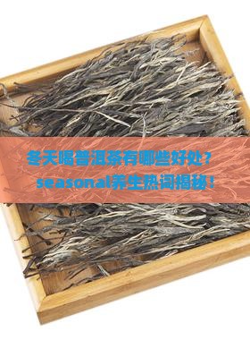 冬天可以喝普洱茶吗