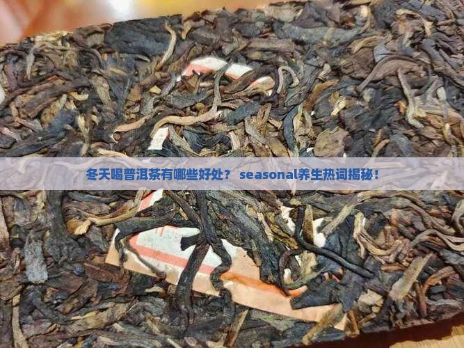 冬天可以喝普洱茶吗