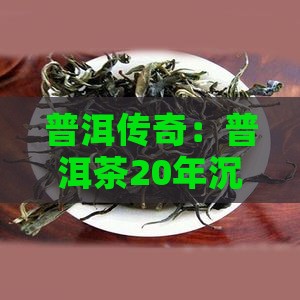 20年的普洱茶底