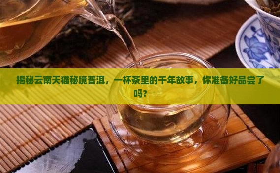 云南天猫普洱茶