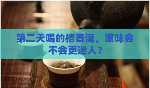 桔普洱茶能放的第二天喝嘛