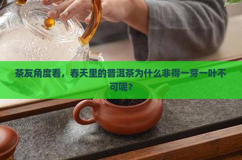 一芽一叶的普洱茶