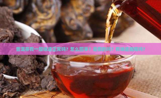 普洱茶有一股味道