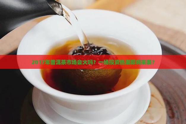普洱茶2017会爆炒