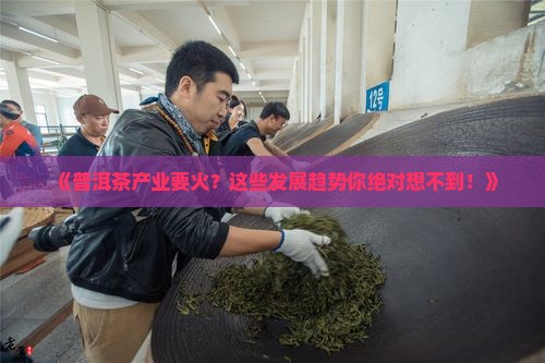 普洱茶产业的发展趋势有哪些