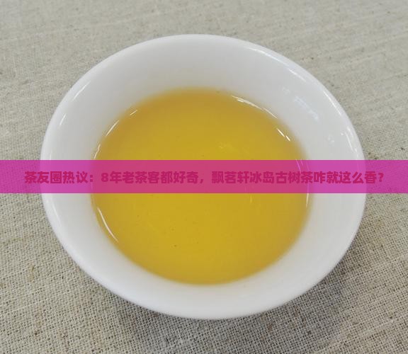飘茗轩冰岛古树茶