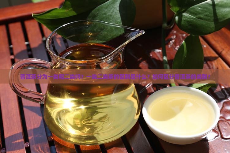 普洱茶一类二类茶