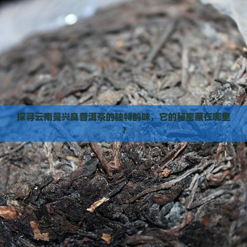云南曼兴良普洱茶的特征