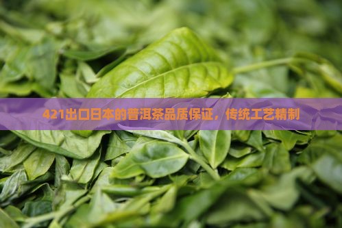 421出口日本的普洱茶