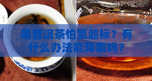 怎样减少普洱茶中氟含量