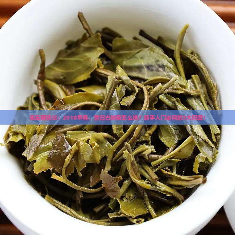 2018早春昔归古树茶 2018早春昔归古树茶