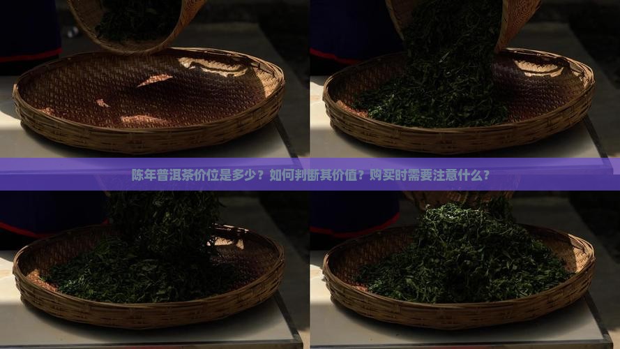 陈年普洱茶价位